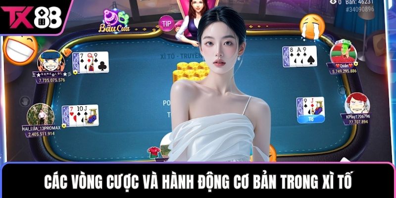 Các vòng cược và hành động cơ bản trong xì tố