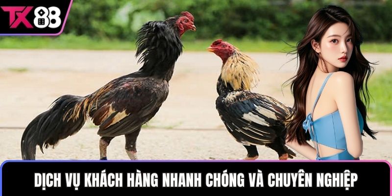 Dịch vụ khách hàng nhanh chóng và chuyên nghiệp