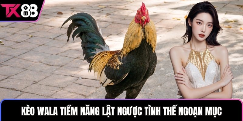 Kèo wala tiềm năng lật ngược tình thế ngoạn mục