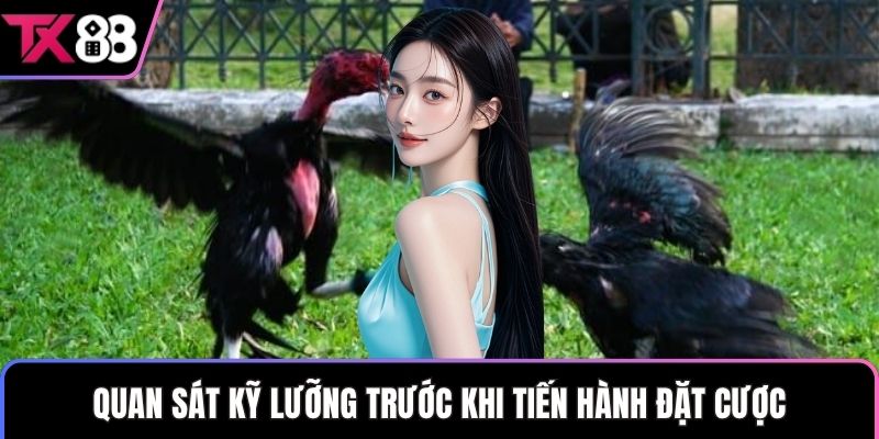 Quan sát kỹ lưỡng trước khi tiến hành đặt cược