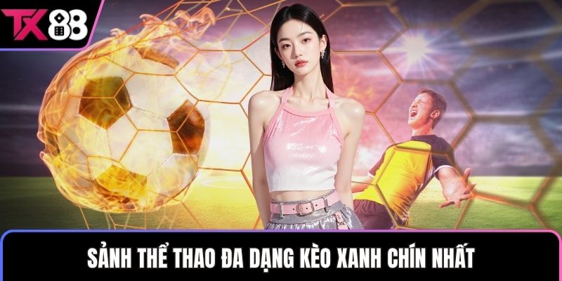 Sảnh thể thao đa dạng kèo xanh chín nhất